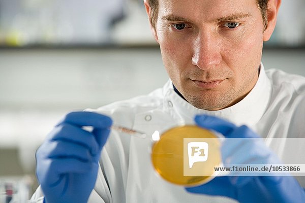 Wissenschaftler mit einer Petrischale