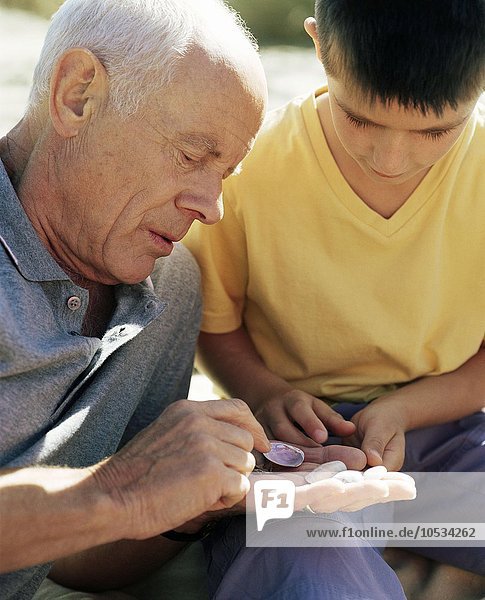 Großvater und Enkel schauen sich Muscheln an