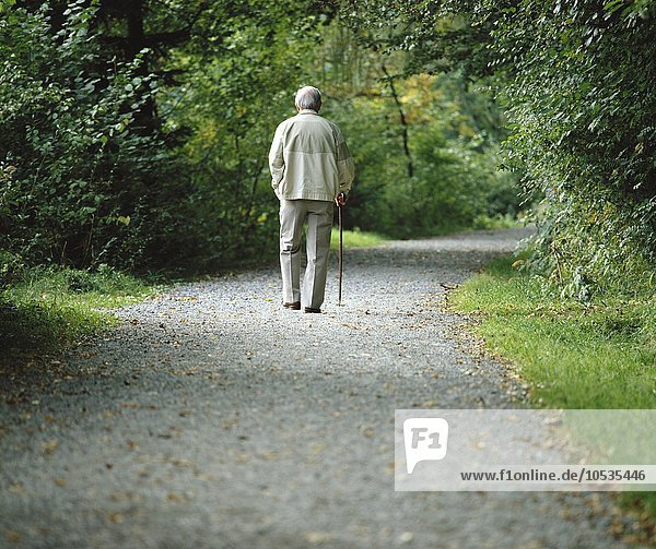 10123000  person  nature  senior citizen  walk  walk  wood  forest  way  forest road