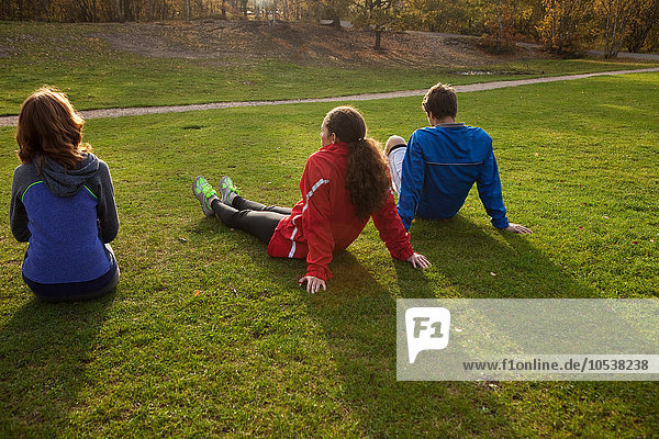 Drei junge Freunde sitzen auf Gras im Park  Rückansicht