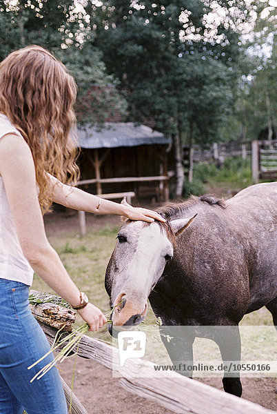 Woman feeding a horse in a paddock.