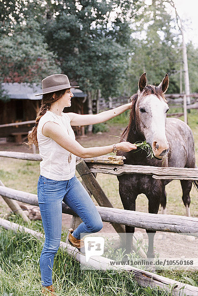 Frau beim Füttern eines Pferdes in einer Koppel auf einer Ranch.