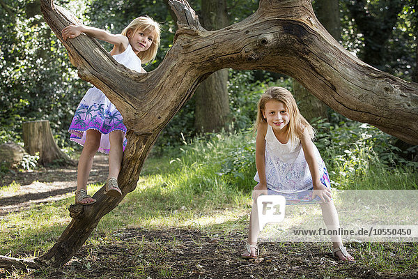 Zwei junge Mädchen klettern in einem Wald auf einen Baum.