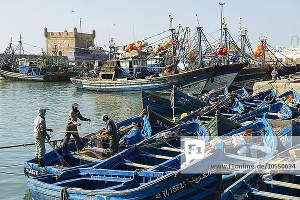 Blaue Fischerboote im Hafen  Essaouira  Marokko  Afrika