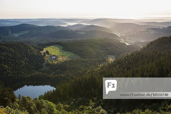 Ausblick zum Feldsee nach Osten vom Feldberg  Schwarzwald  Baden-Württemberg  Deutschland  Europa