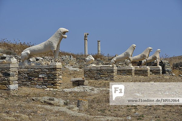 Marmorlöwen auf der Löwenterrasse  antike Stätte  Insel Delos  Unesco-Weltkulturerbe  Kykladen  Griechenland  Europa