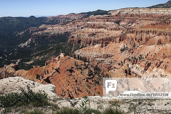 Ausblick auf bizarre Sandsteinerosionen im Amphitheater  Cedar Breaks National Monument  Utah  USA  Nordamerika