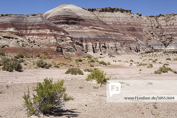 Farbige Gesteinsformationen am Utah Highway 24  bei Hanksville  Utah  USA  Nordamerika