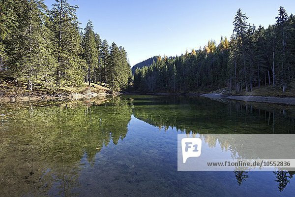 Höfersee  bei Tannheim  Spiegelung im Wasser  Tannheimer Tal  Tirol  Österreich  Europa