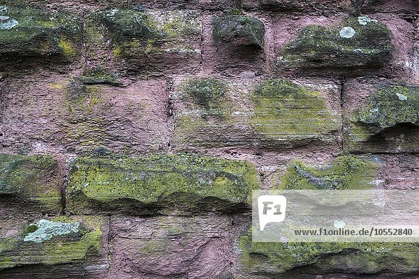 Verwitterte Sandsteinmauer aus Buntsandstein  Baden-Württemberg  Deutschland  Europa