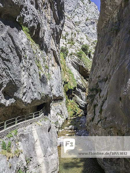 In den Felsen gehauener Weg  Cares Schlucht  Nationalpark Picos de la Europa  Cain  Castilla y León  Spanien  Europa