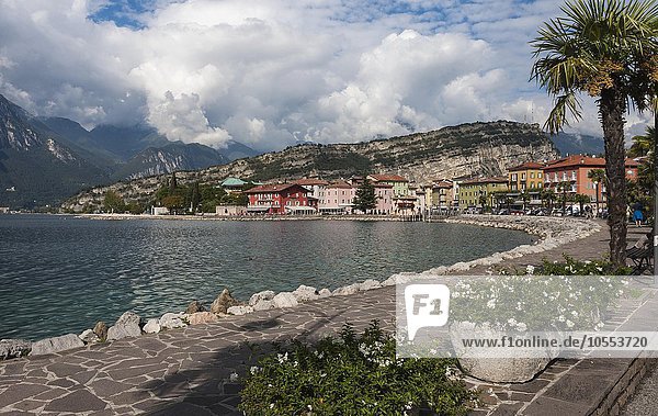 Gardasee  Nordufer mit Promenade von Torbole  hinten Felsmassiv Monte Brione  Trentino  Italien  Europa