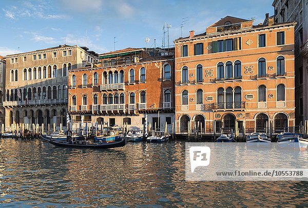 Roter Palazzo Cavalli  Standesamt  hinten Palazzo Ca? Farsetti mit Sitz der Stadtverwaltung  Canal Grande  Stadtteil San Marco  Venedig  Veneto  Italien  Europa