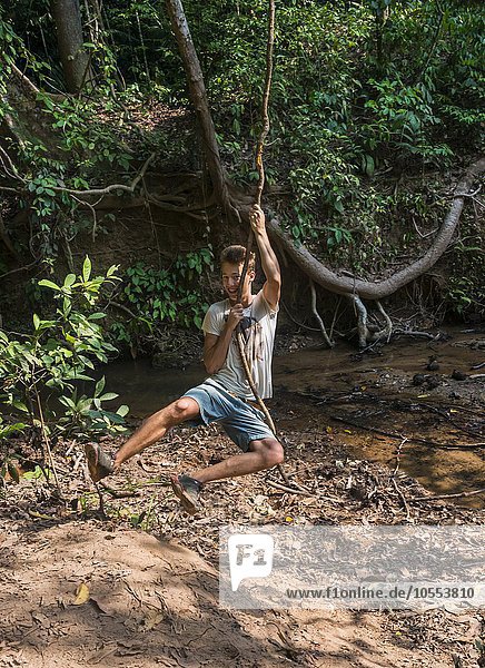 Junger Mann  Tourist schwingt an einer Liane im Dschungel  tropischer Regenwald  Nationalpark Taman Negara  Malaysia  Asien