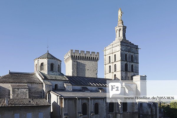 Kathedrale Notre Dame des Doms  UNESCO Weltkulturerbe  Avignon  Provence  Provence-Alpes-Cote d'Azur  Südfrankreich  Frankreich  Europa