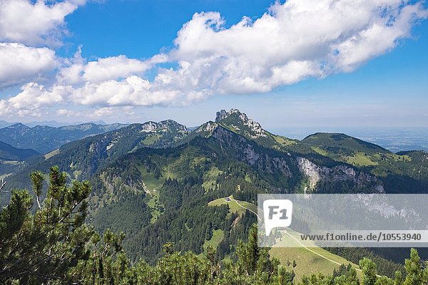 Ausblick von Hochplatte über Piesenhauser Hochalm zur Kampenwand  dahinter die Scheibenwand  Chiemgauer Alpen  Chiemgau  Oberbayern  Bayern  Deutschland  Europa