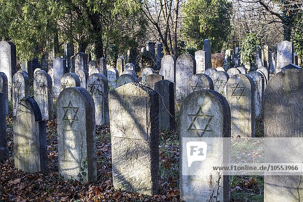 Grave stones  Star of David  old Jewish cemetery  Zentralfriedhof  Simmering  Vienna  Austria  Europe