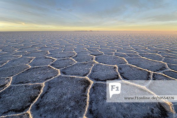 Morgenlicht in der Wabenstruktur des Salzsee Salar de Uyuni  Altiplano  Lipez  Bolivien  Südamerika