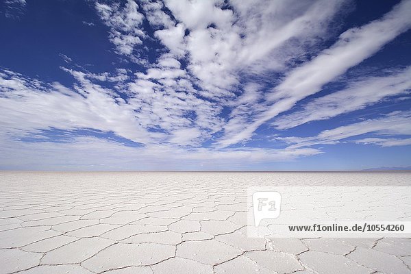 Wabenstruktur mit Wolken auf dem Salzsee Salar de Uyuni  Altiplano  Lipez  Bolivien  Südamerika