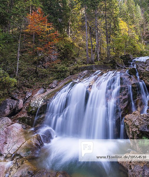 Wildbach mit Wasserfall in der Pöllatschlucht  Schwangau  Ostallgäu  Allgäu  Schwaben  Bayern  Deutschland  Europa