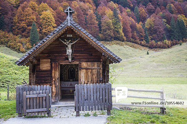 Hölzerne Almkapelle vor Herbstwald  Eng-Alm  Hinterriss  Karwendelgebirge  Tirol  Österreich  Europa