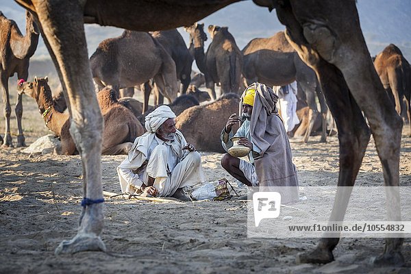 Zwei Männer nehmen ein Getränk zu sich  Kamelmarkt in Pushkar  Rajasthan  Indien  Asien
