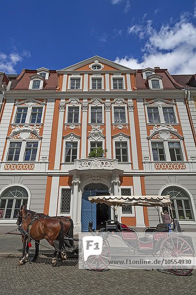 Barockhaus Napoleonhaus  vorne Pferdekutsche  Görlitz  Oberlausitz  Sachsen  Deutschland  Europa