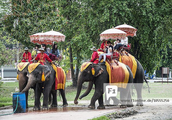 Einheimische Touristen reiten auf geschmückten Elefanten,  Ayutthaya,  Thailand,  Asien