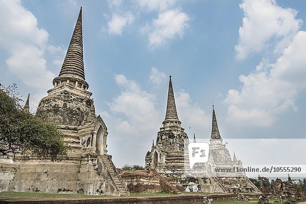 Pagoden der Tempelanlage Wat Phra Si Sanphet  Ayutthaya  Thailand  Asien