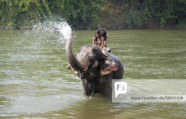 Elefant spritzt Touristinnen nass  Provinz Kanchanaburi  Zentralthailand  Thailand  Asien