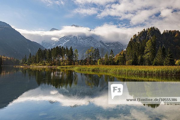 Almsee im Herbst mit Wolken  Totes Gebirge  Almtal  Oberösterreich  Österreich  Europa