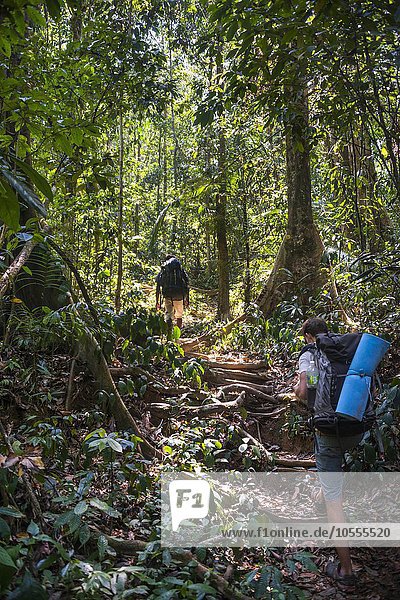 Wanderer  Junger Mann geht auf einem Trampelpfad im Dschungel  Kuala Tahan  Nationalpark Taman Negara  Malaysia  Asien