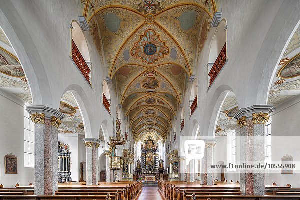 Stiftskirche St. Peter,  Bad Waldsee,  Oberschwaben,  Baden-Württemberg,  Deutschland,  Europa