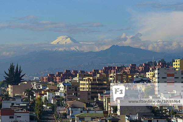 Quito mit Berg Cotopaxi  Quito  Provinz Pichincha  Ecuador  Südamerika