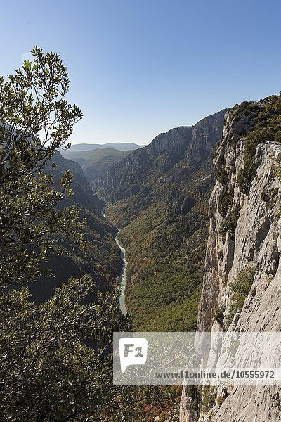 Einblick in die tiefe Schlucht des Verdon  bei La Palud-sur-Verdon  Provence-Alpes-Côte d'Azur  Frankreich  Europa