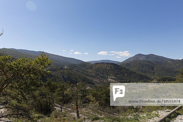 Landschaft im Regionalpark Verdon  Rougon  Provence-Alpes-Côte d'Azur  Frankreich  Europa
