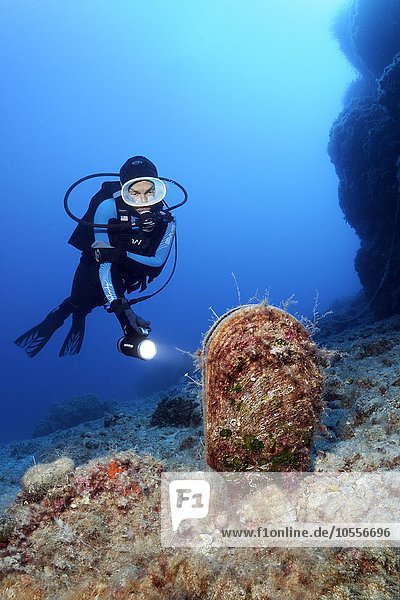 Taucher mit Lampe betrachtet Edle Steckmuschel oder Große Steckmuschel (Pinna nobilis)  Insel Korfu  Ionische Inseln  Mittelmeer  Griechenland  Europa