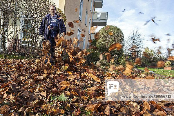 Hausmeister mit Laubbläser wirbelt in einer Wohnsiedlung Blätter auf  Hausmeister-Service  Deutschland  Europa