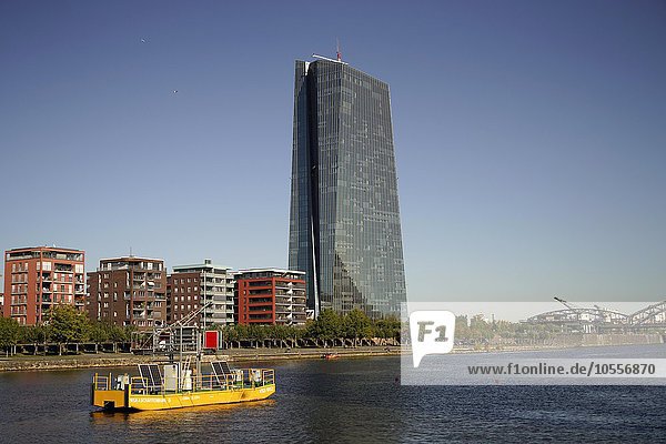 Europäischen Zentralbank  Frankfurt am Main  Hessen  Deutschland  Europa
