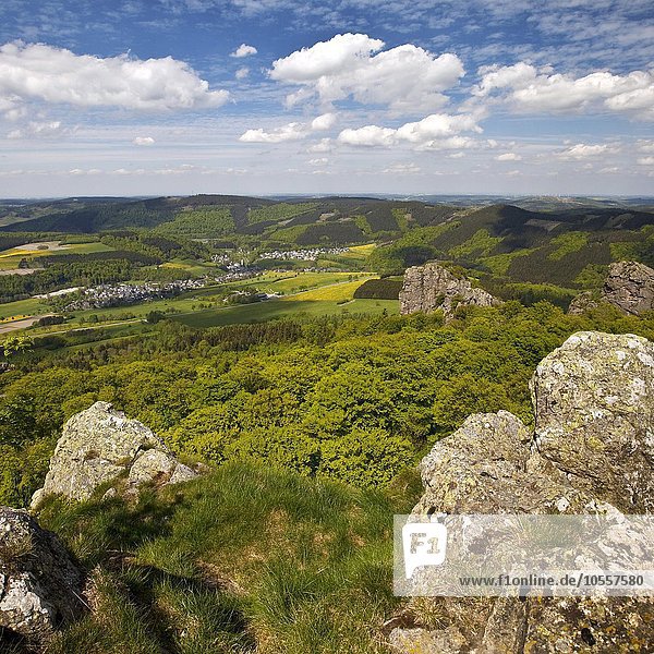 Blick vom Gipfel des Feldsteines auf die Bruchhausener Steine und die weite Landschaft  Olsberg  Sauerland  Nordrhein-Westfalen  Deutschland  Europa