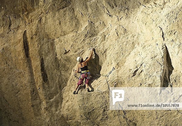 Kletterin  Frau klettert im Vorstieg an einer Felswand  Martinswand  Zirl  Tirol  Österreich  Europa