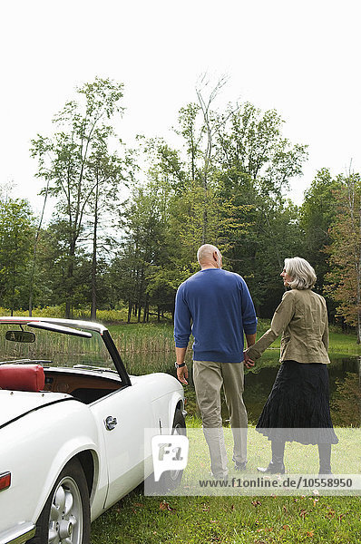 Rear view of couple holding hands by convertible in park