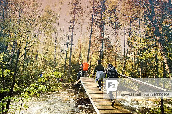 Rucksacktouristen wandern auf einer Brücke im Wald