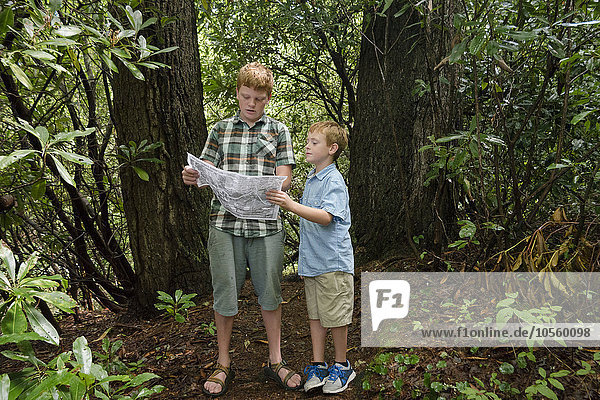 Caucasian boys reading map in forest