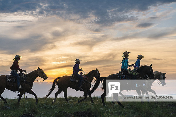Cowgirls und Cowboy reiten auf Pferden in einem ländlichen Gebiet