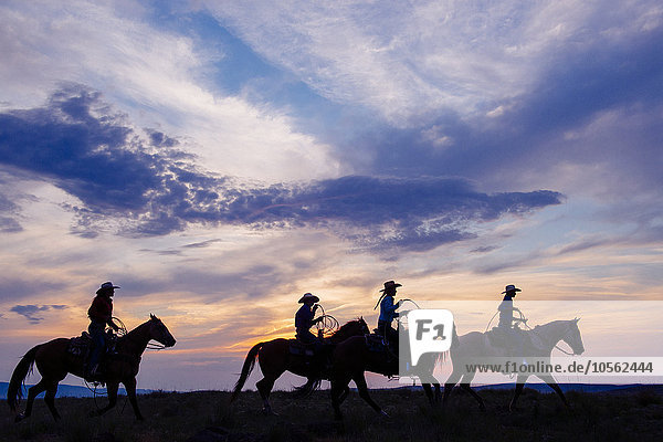 Cowgirls und Cowboy reiten auf Pferden in einem ländlichen Gebiet