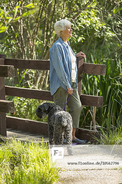 Ältere kaukasische Frau geht mit Hund im Park spazieren