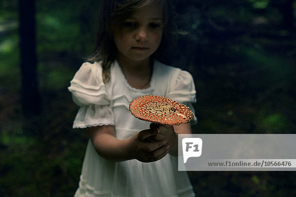 Kaukasisches Mädchen hält Pilz im Wald