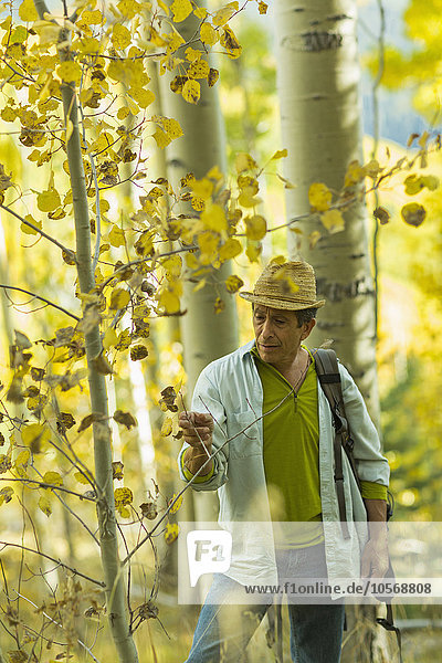 Man exploring autumn forest