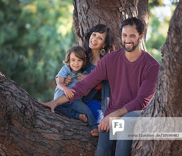Bildnis eines Jungen mit Mutter und Vater im Baum sitzend